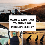 WANT A $250 PASS TO SPEND ON PHILLIP ISLAND?
